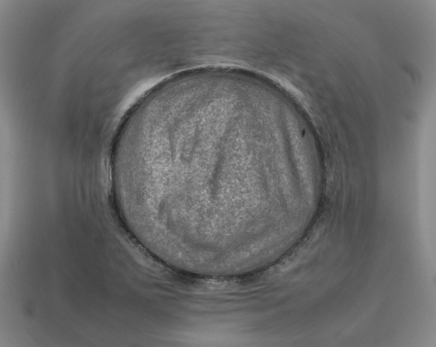 X0000113311271200910051056