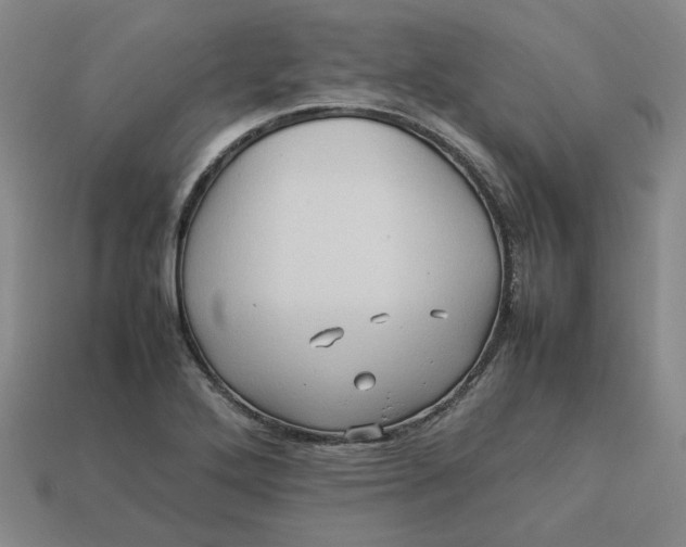 X0000113311272200910051056