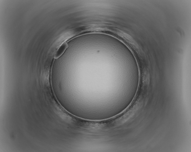 X0000113311273200910051056