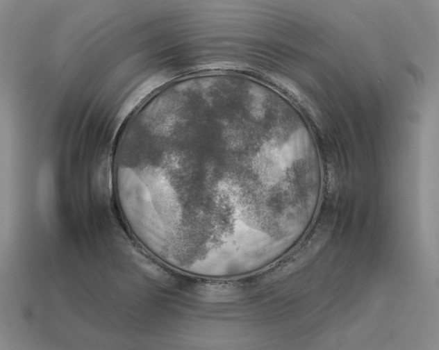 X0000113311274200910051056