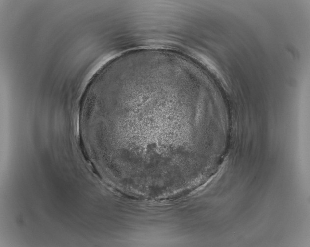 X0000113311275200910051056