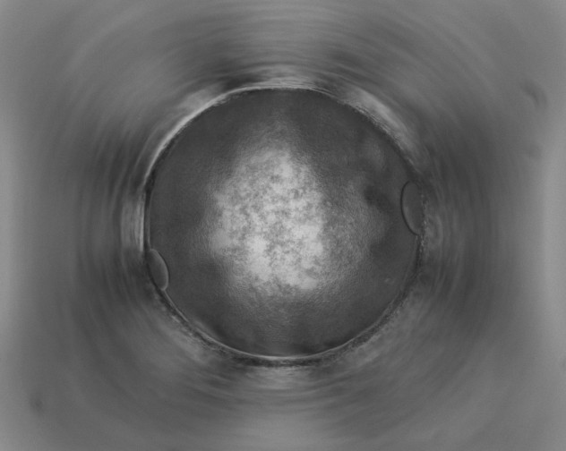 X0000113311276200910051056