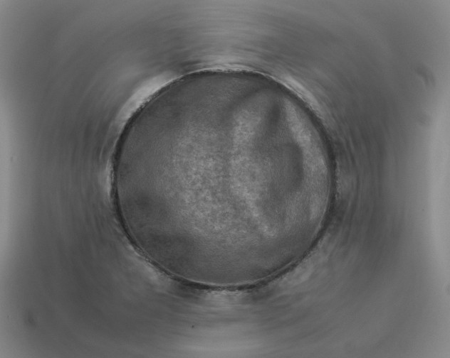 X0000113311277200910051056