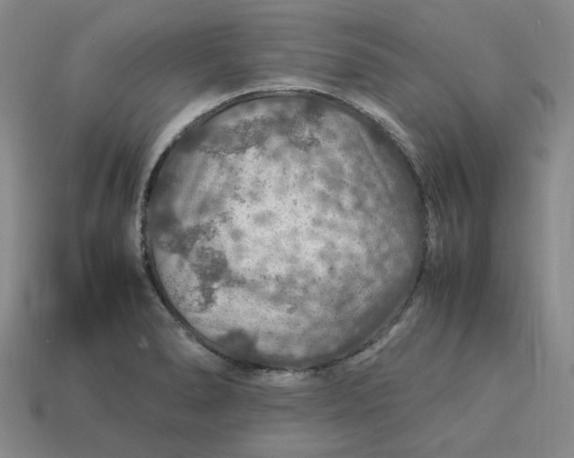 X0000113311278200910051056