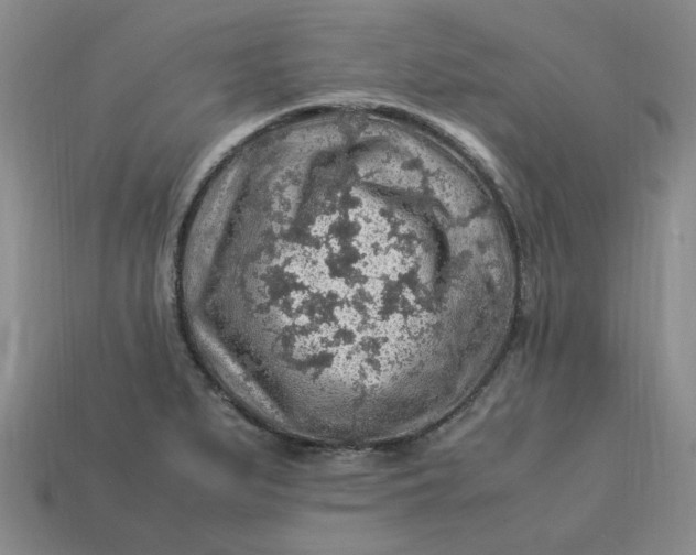 X0000113311279200910051056