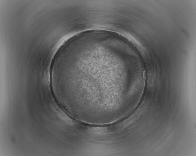 X0000113311280200910051056