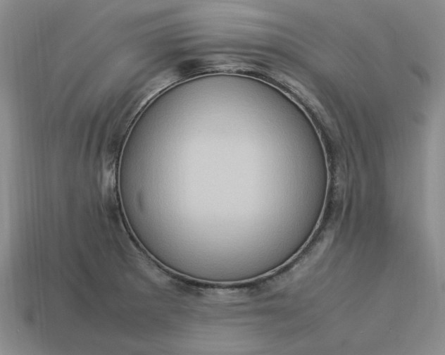 X0000113311281200910051056