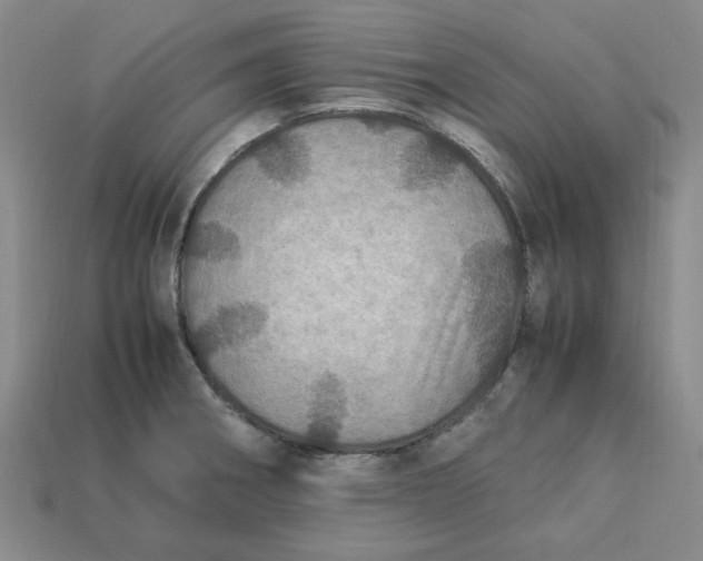 X0000113311282200910051056