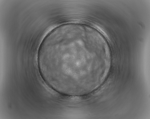 X0000113311283200910051056