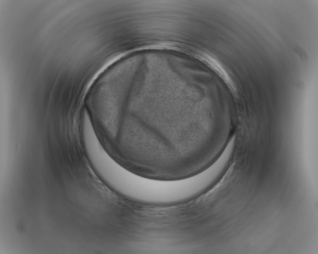 X0000113311284200910051056