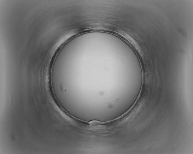 X0000113311285200910051056