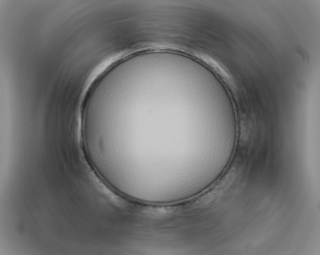 X0000113311286200910051056