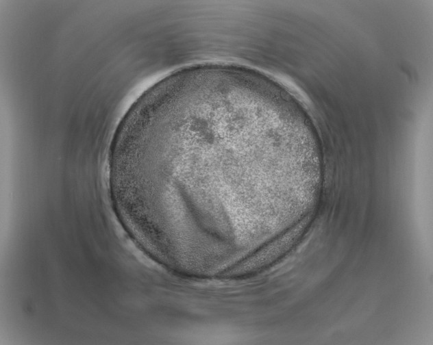 X0000113311287200910051056