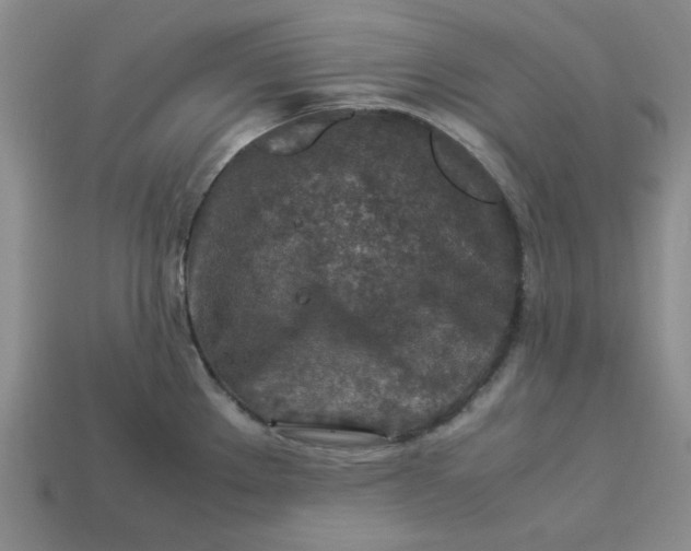 X0000113311289200910051056