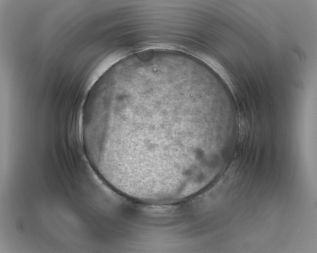 X0000113311290200910051056