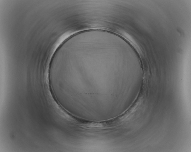 X0000113311291200910051056