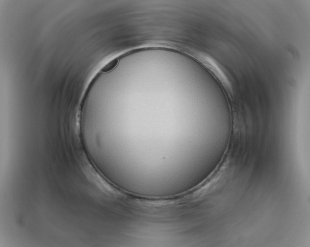 X0000113311292200910051056