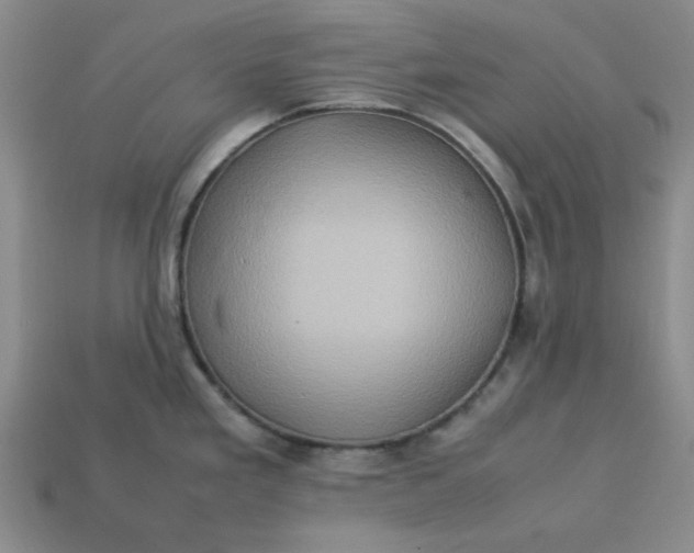 X0000113311293200910051056