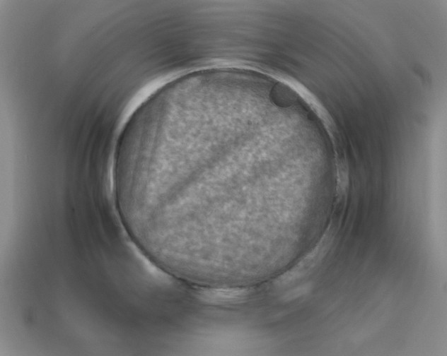 X0000113311294200910051055