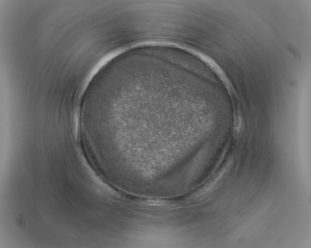 X0000113311295200910051055