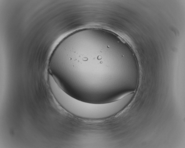 X0000113311296200910051055