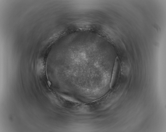 X0000113311298200910051055