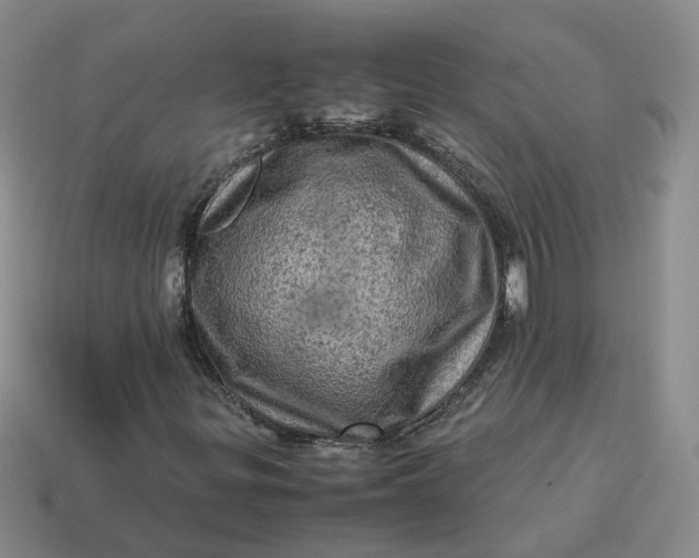 X0000113311299200910051055