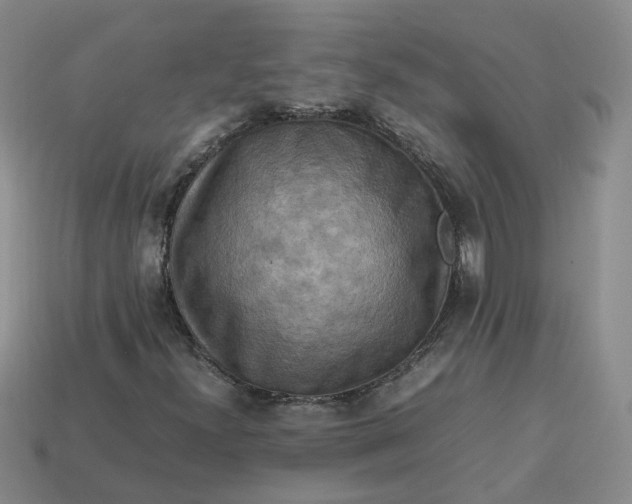 X0000113311300200910051055