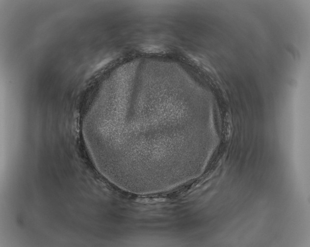 X0000113311301200910051055