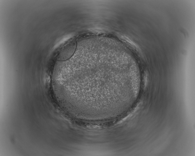 X0000113311302200910051055