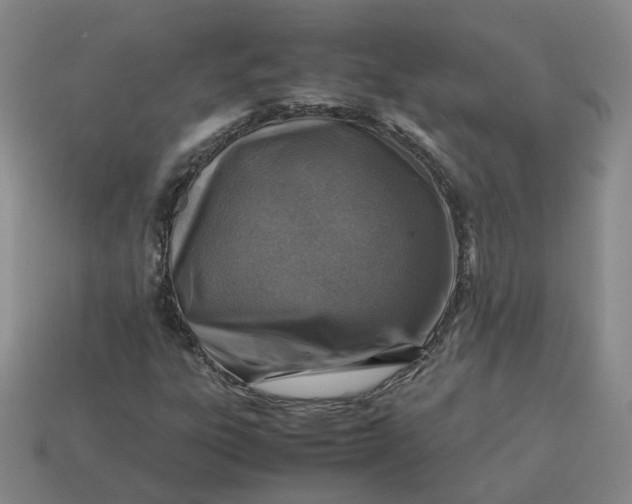 X0000113311303200910051055