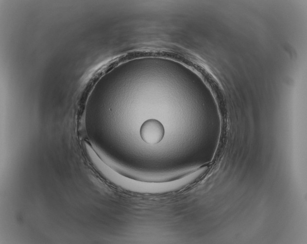 X0000113311304200910051055