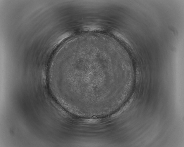 X0000113311305200910051055