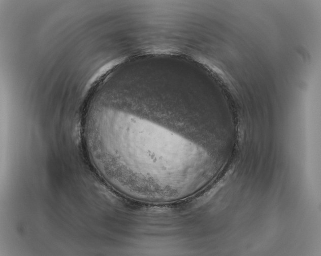 X0000113311306200910051055