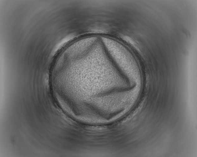 X0000113311307200910051055