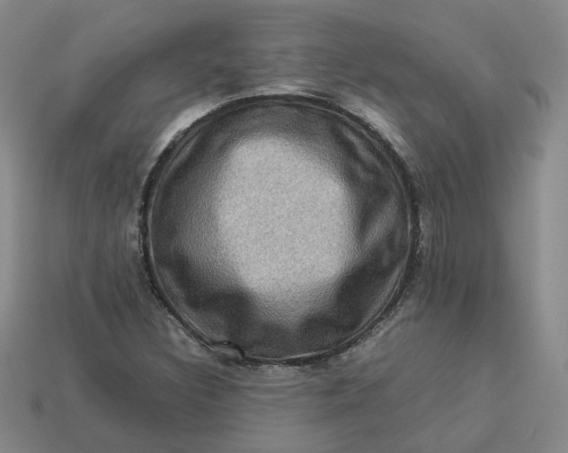 X0000113311308200910051055