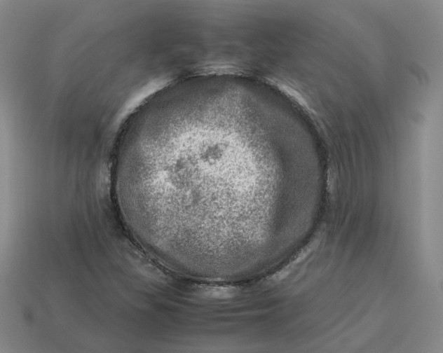 X0000113311309200910051055