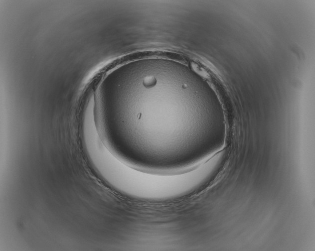 X0000113311310200910051055