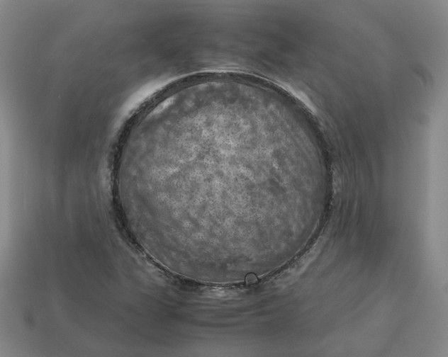 X0000113311311200910051055