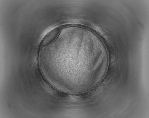 X0000113311312200910051055