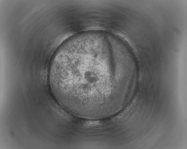 X0000113311313200910051055