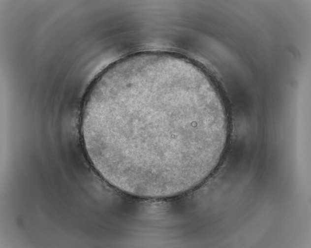 X0000113311314200910051055