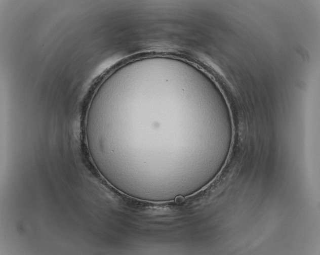 X0000113311315200910051055