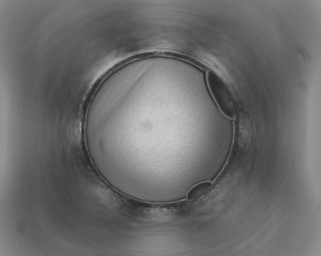 X0000113311316200910051055