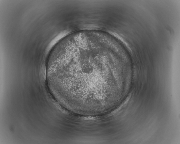 X0000113311317200910051055