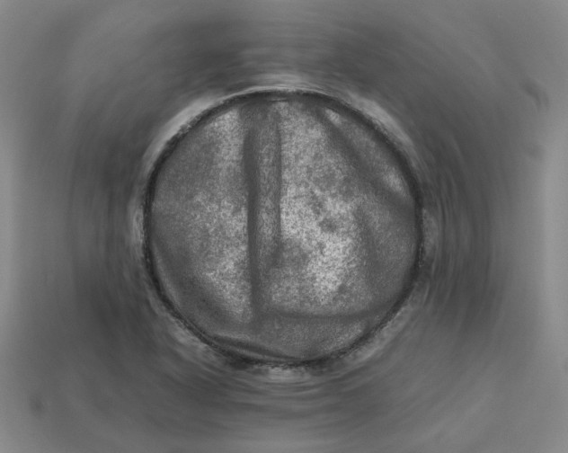 X0000113311318200910051055