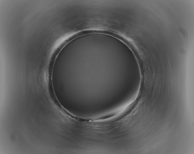 X0000113311319200910051055