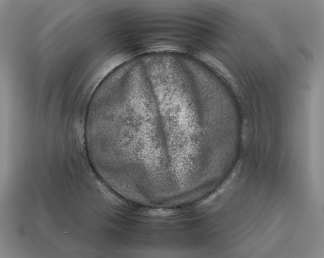 X0000113311321200910051055