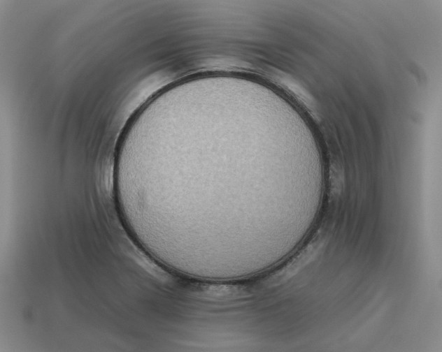 X0000113311322200910051055