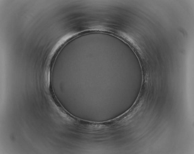 X0000113311323200910051055